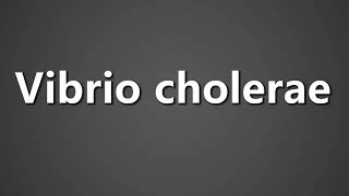 How To Pronounce Vibrio cholerae [upl. by Aynuat]