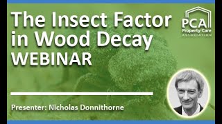 The Insect Factor in Wood Decay Webinar [upl. by Torosian]