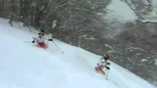 Snow Fun  Powder Syncro [upl. by Isiah187]