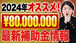 【2024年 速報】必見！最大8000万の一人社長も手に入る補助金・助成金を徹底解説！ [upl. by Adall]