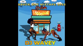 DAGGERING LADIES DANCEHALL MIX 2023 ROZE DON SpiceLincoln 3dotkartelAidonia yung bredda DJ WAVEY [upl. by Eugilegna]