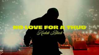 Kodak Black  No Love For A Thug Official Audio [upl. by Hteik]