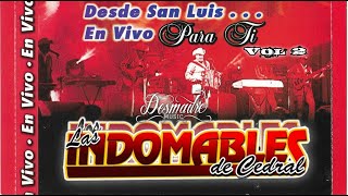 Los Indomables De Cedral En Vivo Para Ti Desde San Luis Vol 2 [upl. by Annuhsal]