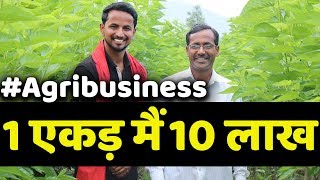 लाखों की कमाई  Silk Farming Business Subsidy amp Marketing  Sericulture Business [upl. by Colin]