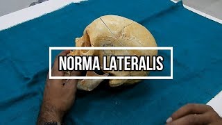 Norma Lateralis [upl. by Banquer]