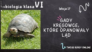 Biologia klasa 6 Lekcja 17  Gady  kręgowce które opanowały ląd [upl. by Kolnick]