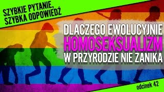 Dlaczego homoseksualizm ewolucyjnie nie zanika  SPSO 42 [upl. by Leaj]