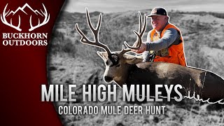 Buckhorn Outdoors  Mile High Muleys  Colorado Mule Deer Hunt [upl. by Palila]