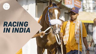 Racing In India Francesca Cumani Visits Bangalore [upl. by Rooker984]