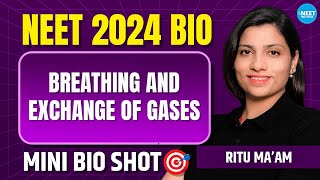 Breathing amp Exchange Of Gases Class 11 Bio Mini Shot  NEET 2024 Biology  Ritu Rattewal [upl. by Pitt532]