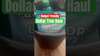 Budget friendly Dollar Tree Cleaning Supplies cleaningsupplies cleaningessentials homecleaning [upl. by Ettezoj]