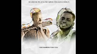 Diamond Platnumz amp Wouter Kellerman  Pounds amp Dollars Lyric Video [upl. by Tasha]