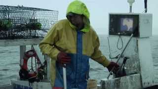 Crabbing  Commercial Fishing on the Outer Banks [upl. by Morven]