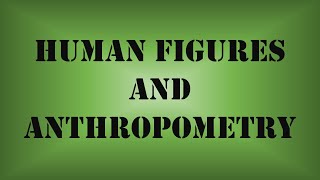 Human Figures and Anthropometry [upl. by Kallista]