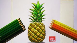 How to draw and color a pineapple with color pencils tutorial video [upl. by Renwick851]