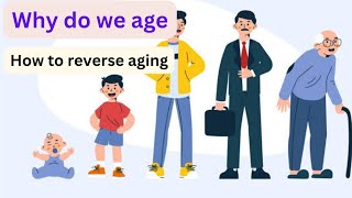 Why do our bodies age Are scientists learning to reverse aging [upl. by Domella]