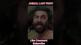 Animal Movie End Seen Ranbir Kapoor Fight Bobby Deol With Edit virel [upl. by Einnor]