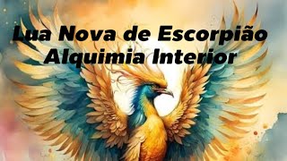 Lua Nova de Escorpião  Alquimia interior [upl. by Dey]