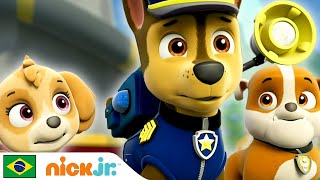 Paw Patrol  Patrulha Canina sempre ajudando 🐾  Nick Jr [upl. by Enyaz468]