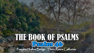 Book of Psalms  Chapter 46 NIV  Read by Luz P Francisco [upl. by Januarius]