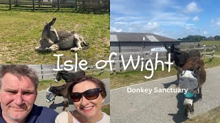 Visit the Donkey Sanctuary in WroxallIsle of Wight Free Things To DoKpislandadventures ❤️ [upl. by Catharine]