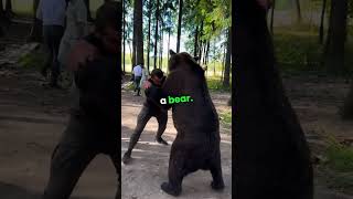 Can a boxer beat a bear [upl. by Ativet]