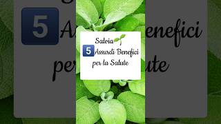 ‼️SALVIA🌱 PROPRIETÀ e CONTROINDICAZIONI short [upl. by Osy]