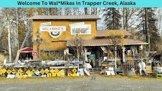 Visiting Trapper Creek And The Famous WalMikes In Alaska [upl. by Dressler]