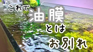 油膜を出さない水槽とは？ 溶存酸素量DO値について [upl. by Adaline]