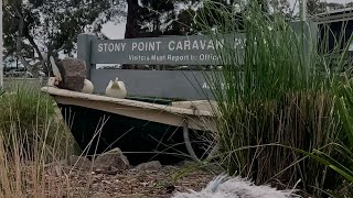 Exploring Stony Point Caravan Park Vic Campfires Boat Ramps amp Phillip Island Ferry [upl. by Bowyer]