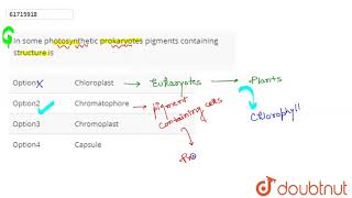 In some photosynthetic prokaryotes pigments containing structure is [upl. by Knutson]