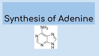 Synthesis of adenine [upl. by Ulane396]