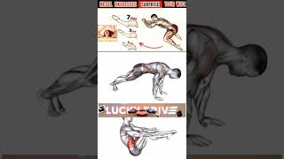 top the bladder leak with these pelvic exercise [upl. by Nosde250]