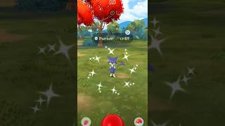 ✨️Shiny Purrloin pokemon pokemongo shinypokemon mobilegame shiny [upl. by Lehsar]