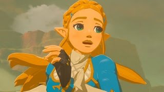 Small Details In Breath Of The Wild Only True Fans Noticed [upl. by Celtic]