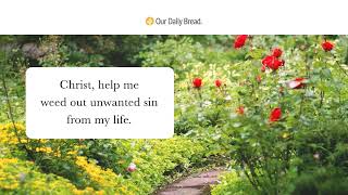 Watering The Weeds  Audio Reading  Our Daily Bread Devotional  April 27 2023 [upl. by Alracal]