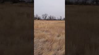 Cold Fall Walk at the Bowdoin National Wildlife Refuge Montana nature naturewalk getoutdoors [upl. by Rabi335]