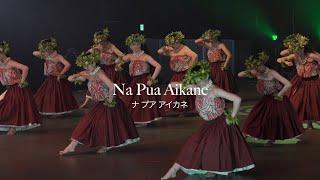 MYSTERIOUS HAWAII Ver2  Na Pua Aikane [upl. by Haakon363]