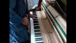 maximtuner Tuning piano Termination of the process Uralsk 2010 [upl. by Pouncey]