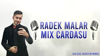 Radek Malár  Mix Čardášů 2020 [upl. by Ody]