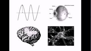 NonPhysical Properties of the Mind Qualia 1 Introduction [upl. by Joscelin]