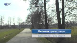 Mooi Overijssel  Manderveen 1 [upl. by Anotyal]