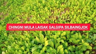 Mula Laisak Galgipana Chi Rudapna Rebani Vlog Video [upl. by Yemane]