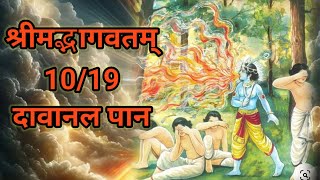 दावानल पान।Davanal PanVijaySakha09 [upl. by Beauchamp591]