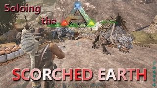 Taming a Thorny Dragon Pack Soloing the Ark in Scorched Earth E6 [upl. by Erej268]