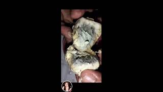 BALUT AN EGG EMBRYO COOK AND READY TO EAT balut balutchallenge viralvideo survival [upl. by Ynaiffit281]