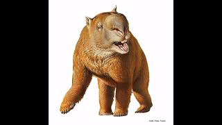 Diprotodongiant wombats reconstruction sounds [upl. by Anoel]