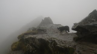 Sharp Edge Blencathra November 15th 2024 [upl. by Nivrad]