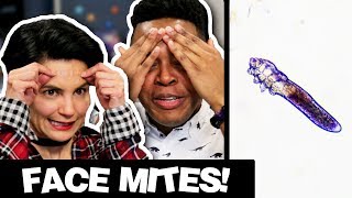 Face Mites Are Gross and Cool and We Try to Find Them ft Msbeautyphile [upl. by Gillie]