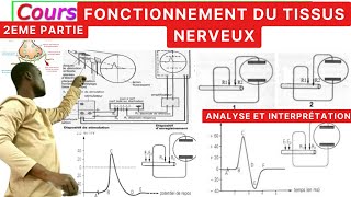 SVTFonctionnement du tissus nerveux2èPartiePotentiel dActionRepos [upl. by Eri362]